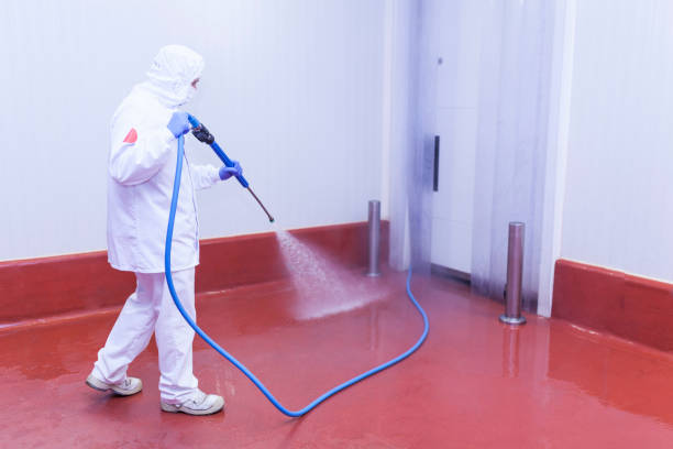 Best Warehouse Cleaning  in Stirling, NJ